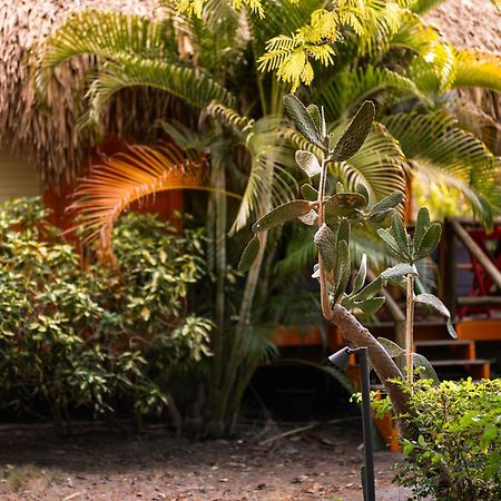 Mondi Lodge Sint Michiel Ngoại thất bức ảnh