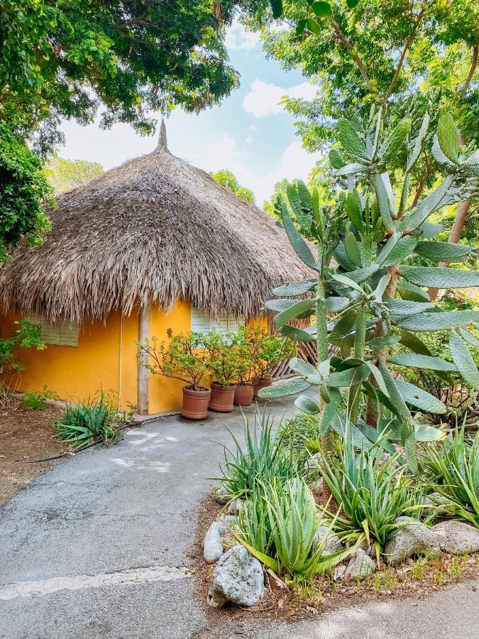 Mondi Lodge Sint Michiel Ngoại thất bức ảnh