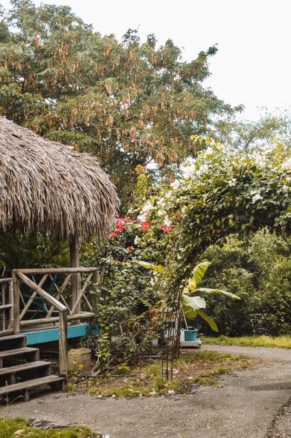 Mondi Lodge Sint Michiel Ngoại thất bức ảnh