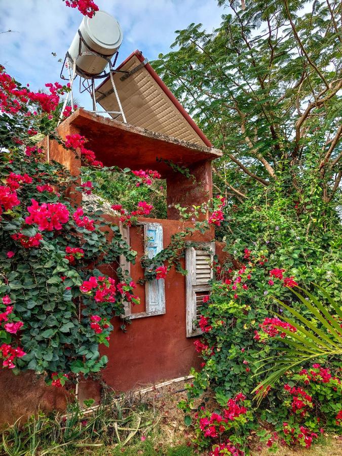 Mondi Lodge Sint Michiel Ngoại thất bức ảnh