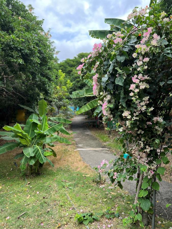 Mondi Lodge Sint Michiel Ngoại thất bức ảnh
